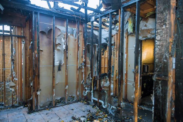 Professional Smoke Damage Removal technician working in Burlington, KY