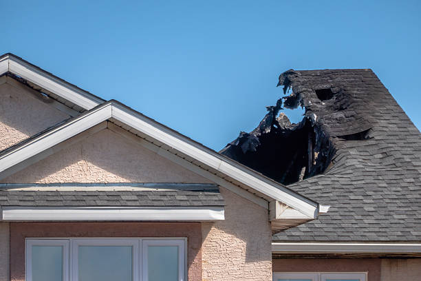 Top rated local Smoke Damage Removal specialists in Burlington, KY